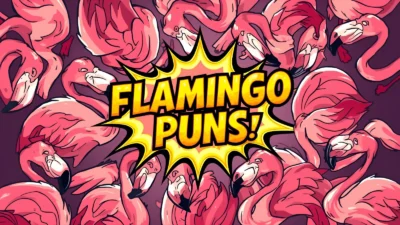 Flamingo puns