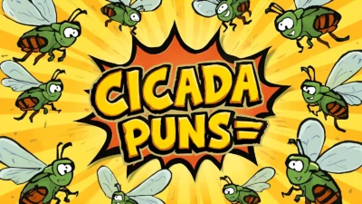 Cicada puns