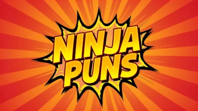 Ninja puns