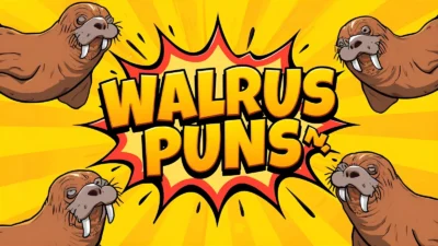 Walrus puns